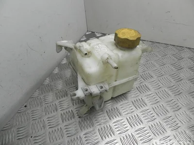 Chevrolet 96837836 CAPTIVA (C100, C140) 2008 Vase d'expansion du liquide de refroidissement - Image 1