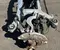 Gebrauchtes Original BMW 6894149 X5 (G05) 2021 Hinterachskörper - Bild 2