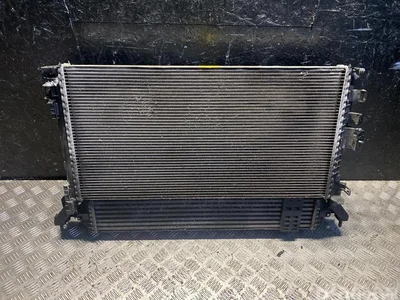 Renault 214000035R, 214100005R, 214815679R LAGUNA III (BT0/1) 2011 Radiateur - Image 1