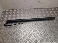 Ford DS73-N402A55-AE / DS73N402A55AE MONDEO V Turnier 2021 Газовая пружина