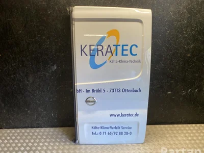 Nissan Primastar III (X82) 2022 Porte Right Rear - Image 1