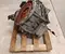 Gebrauchtes Original Chrysler 05062283AB, 05062423EF, 4947890, MR568850, 05062172AD, 05192374AD, 05062282AE, 68273294AE Pacifica 2021 Automatikgetriebe - Bild 2