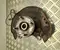 Toyota 432120D230 Yaris P210 2024 Logement de roulement de roue Left Front - Image 1