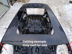 Volkswagen ATLAS (CA1, CA2, CA3) 2018 Dach