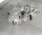 RAM 68250775AF 1500 CLASSIC Crew Cab Pickup (DS) 2020 Verteilergetriebe - Bild 1