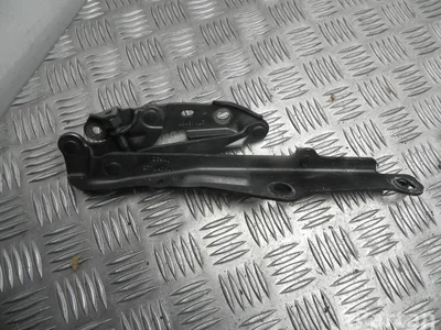 Chrysler 277UMD6M 300 C (LX) 2006 Zawias, pokrywa komory silnika - Obraz 1