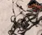 Bentley 07V.971.610.G / 07V971610G MULSANNE (3Y_) 2015 Engine harness - Image 2