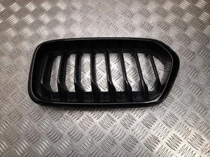 BMW 7 424 778 / 7424778 X2 (F39) 2018 Grillades