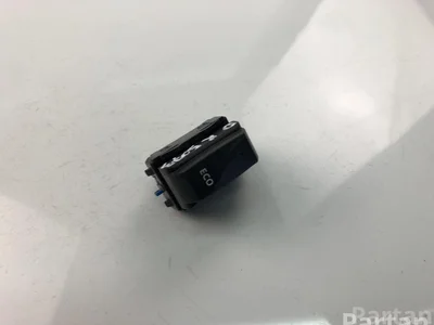 Renault 251B41166R MASTER III komercinis (FV) 2013 Jungiklis/mygtukas - Nuotrauka 1