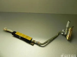 BMW 30317949 X5 (E53) 2005 Airbag de tête