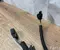 Renault 253A94069R MEGANE E 2024 Kit de cables FRONT 6PDC sistema de estacionamiento - Imagen 2