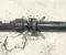 Gebrauchtes Original Maserati 246688, 8153150174, 8153150174007G, 6153154701003B, 1000004400016 GRAN TURISMO 2012 Kardanwelle Satz - Bild 3