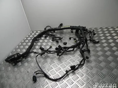 Mercedes-Benz A 651 010 02 43 / A6510100243 E-CLASS Coupe (C207) 2010 Fils du compartiment moteur - Image 1