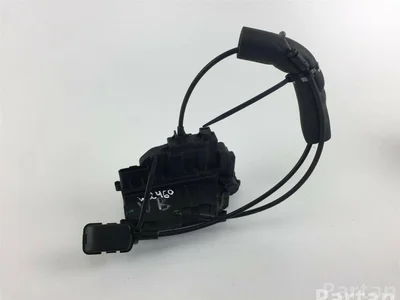 Renault 825030032R SCÉNIC III (JZ0/1_) 2013 Cerradura de puerta - Imagen 1