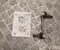Land Rover 2958701, RGD500150 RANGE ROVER III (L322) 2010 Stabiliser Links - Image 1