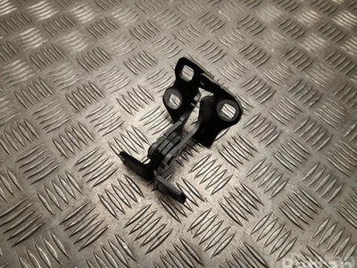 Tesla FLR035F, A046571, ES57 MODEL 3 2022 Charnière de porte - Image 1