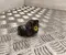 Nissan 24322017183, 441003J310 PRIMERA Hatchback (P11) 2002 Cylinderek hamulcowy - Zdjęcie 2