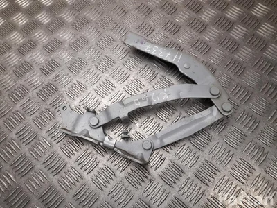 Hyundai CERH IONIQ 6 2024 Bagažinės dangčio vyriai - Paveiksliukas 1