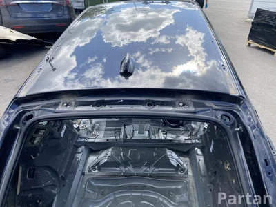 Volvo V90 II 2019 Dach - Bild 1