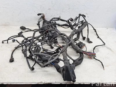 Seat 2Q0971349PQ, 2F0971615G IBIZA V (KJ1) 2020 Cables de la sección de motor - Imagen 1