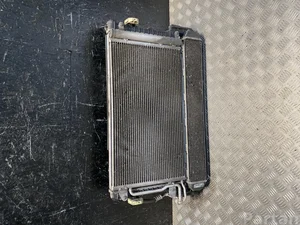 Škoda 6R0 820 411 T, 6R0 155 806 H, 6R0 959 455 E / 6R0820411T, 6R0155806H, 6R0959455E FABIA III (NJ3) 2016 Radiateur