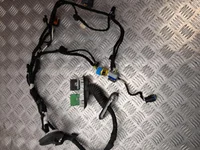 Peugeot 9837478580 3008 SUV 2021 Harnais pour intérieur Porte