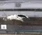 BMW iX 2023 Schweller rechts - Bild 2
