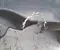 Seat IBIZA V (KJ1) 2020 Wing liner Left Front - Image 3
