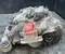 Toyota 1AA, 21JTR2, 1AA194 RAV 4 V 2020 Moteur complet - Image 3