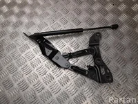 Tesla 1058041LH MODEL X 2016 Lankstas, gaubtas