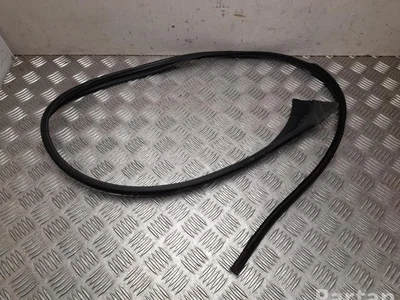 Polestar 8892892251, 1000120452 4 2025 Scellant De Porte En Verre Left Front - Image 1