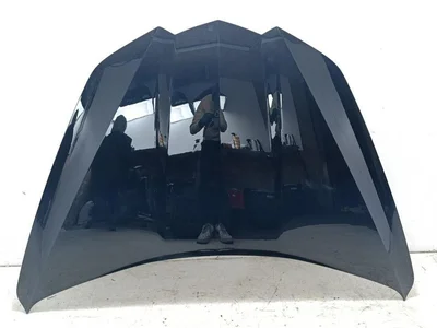 Chevrolet 85565241, 85565240 Corvette (C8) 2023 Motorhaube - Bild 1