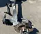 Gebrauchtes Original Ford 2406ASA5208, MX6C-5K952-A1F / 2406ASA5208, MX6C5K952A1F Kuga III 2025 Hinterachskörper - Bild 2