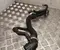 Gebrauchtes Original Volkswagen 3WA 122 101 T / 3WA122101T PASSAT B9 Variant (CJ5) 2023 Kühlmittelleitung - Bild 3