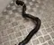 Opel 9846756780 FRONTERA (OV24) 2025 Conducto del refrigerante - Imagen 2