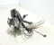 Gebrauchtes Original Mercedes-Benz A2233523200, 2970400, A2970400, A2233525801, A2973523400 EQS (V297) 2022 Hinterer Radlagergehäuse komplett rechte Seite - Bild 2