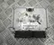 Opel 09133269 ZAFIRA A (F75_) 2000 Unité de contrôle moteur - Image 1