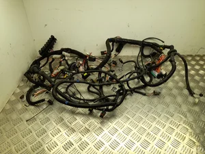 Ligier 1419869, 1419869C JS 50 2022 Harnais