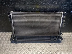 Renault 214000035R, 214100005R, 214815679R LAGUNA III (BT0/1) 2011 Radiateur