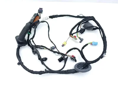 Audi 4M8971030EN Q8 (4MN, 4MT) 2021 Cables de salón Puerta - Imagen 1
