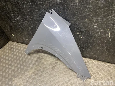 Gebrauchtes Original Nissan Ariya 2025 Kotflügel rechte Seite - Bild 1