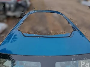 Citroën C4 CACTUS 2019 Dach