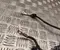 Opel 9858911080 Astra L Sports Tourer 2024 Harnais - Image 3