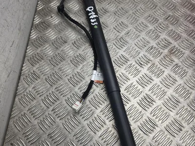 Gebrauchtes Original Maserati 670033247 LEVANTE 2024 Gasfeder - Bild 1