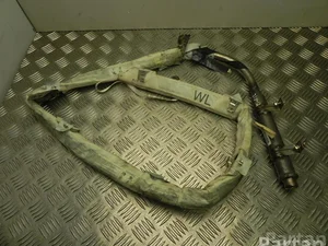 Nissan 6003828 PRIMERA Estate (WP12) 2003 Airbag de tête