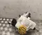 Alfa Romeo 0050566450 GIULIA (952_) 2021 Pompa hamulcowa - Obraz 1