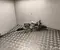 Smart 490013566R, 6700003893 FORFOUR Hatchback (453) 2022 Steering rack - Image 1