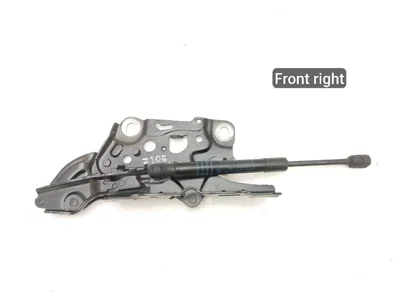 BMW 7347408, 139896, 13989610 7 (G11, G12) 2016 Ressort à gaz - Image 1