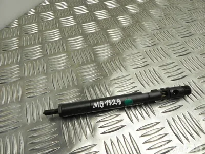 Mercedes-Benz A 646 070 09 87 / A6460700987 C-CLASS (W204) 2008 Purkštukas - Nuotrauka 1