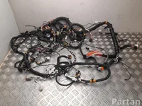 Ligier 1419870C, 1420750A JS 50 2022 Kabelsatz für Innenraum